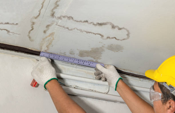 Reliable Burst Pipe Cleanup contractor in Sarah, MS by Water Damage Irwin